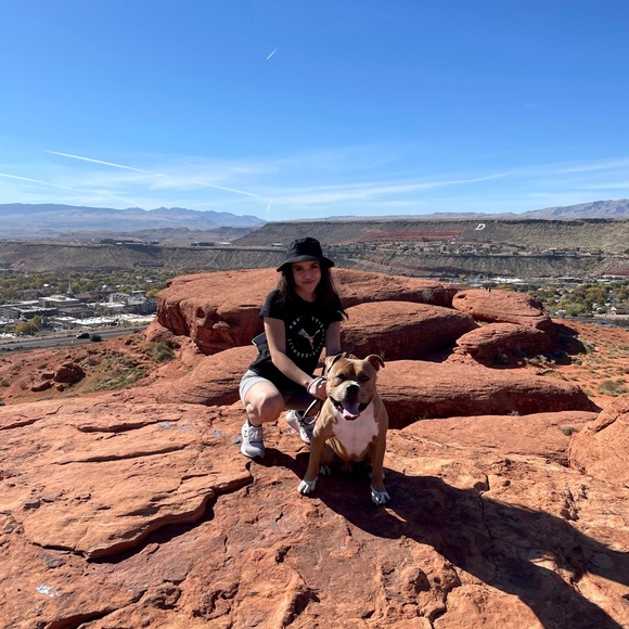 Meet the Posher💝 - Picture 4 of 6